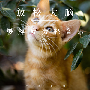 女人与禽猛交狂配
